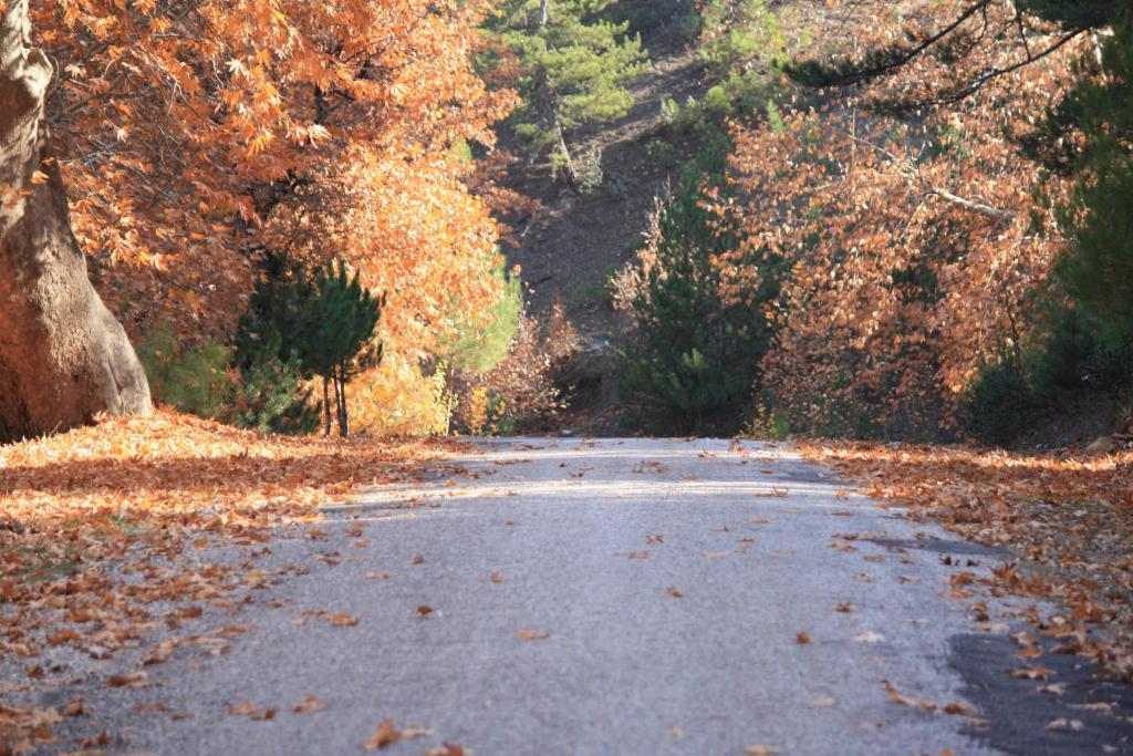 St.Paul Yol Pansiyon Kasimlar Exterior photo